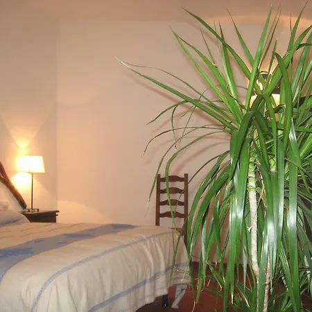 Bed and Breakfast Il Vecchio Ginepro Arzachena