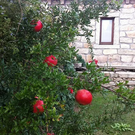 Il Vecchio Ginepro Bed and Breakfast Arzachena