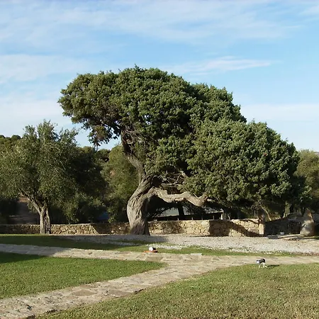 Il Vecchio Ginepro Bed and Breakfast