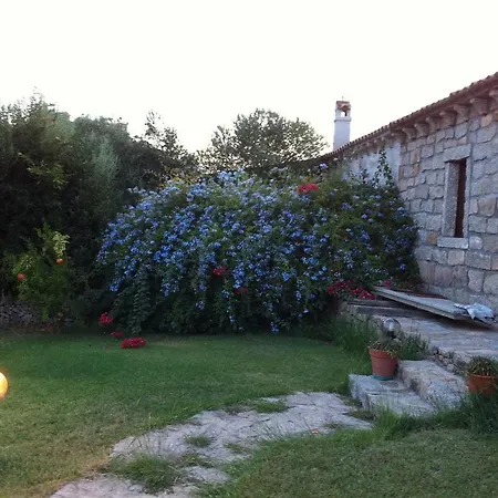Il Vecchio Ginepro * Arzachena