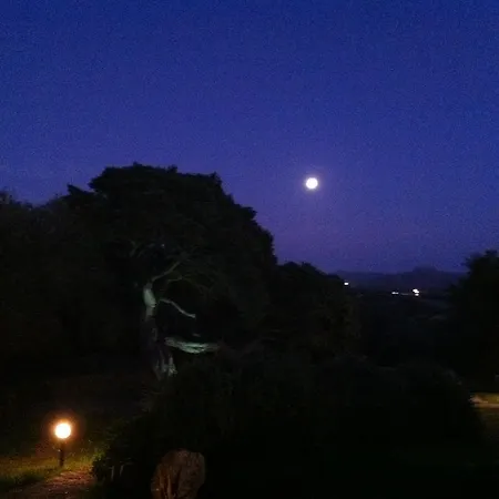 Bed and Breakfast Il Vecchio Ginepro