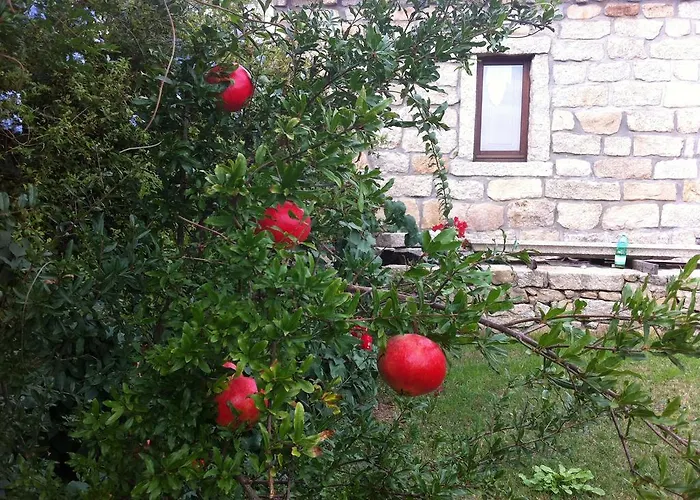 Il Vecchio Ginepro Panzió Arzachena