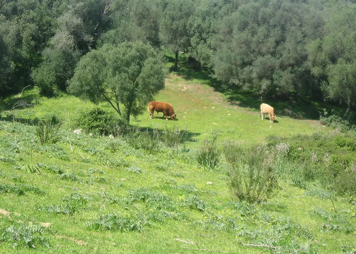 Il Vecchio Ginepro 4*