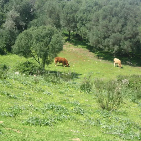 Il Vecchio Ginepro 3*