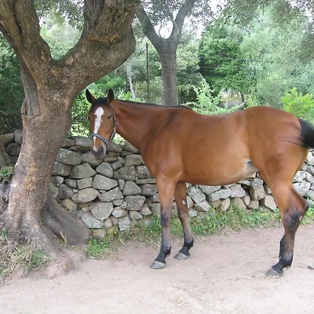 Il Vecchio Ginepro 3*