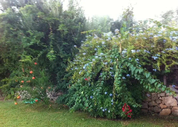 Il Vecchio Ginepro Arzachena